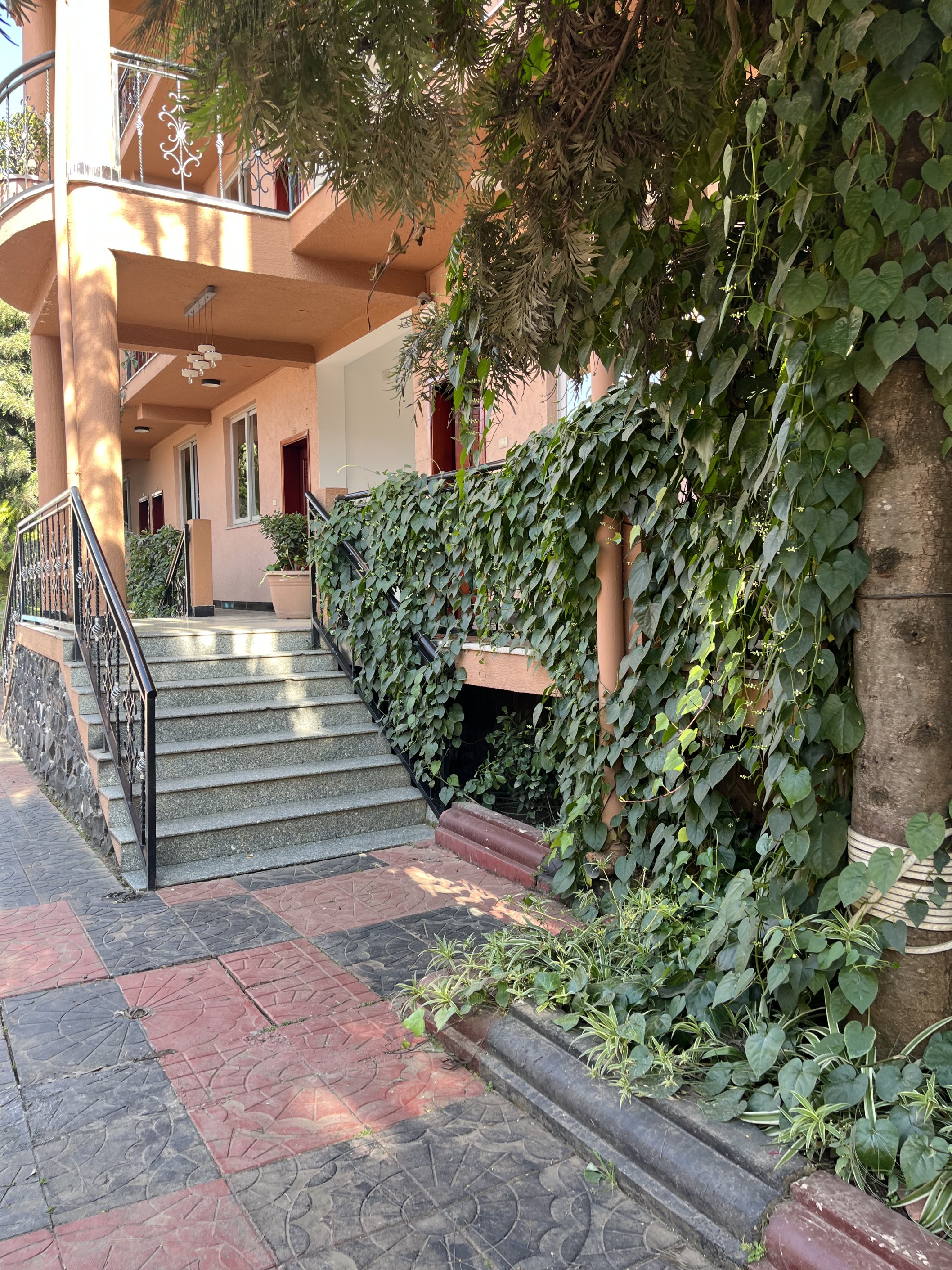 Mati Lodge Gallery Image 2